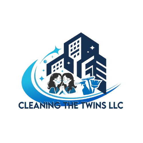 cleaningthetwins.com